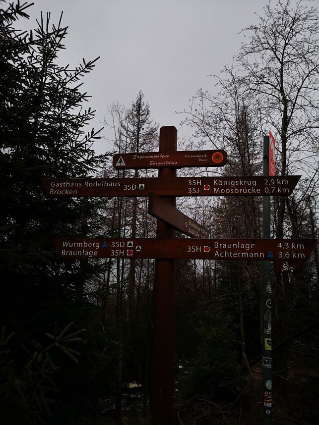 Jour Fixe im Nationalpark mit Sara Wegrzyk