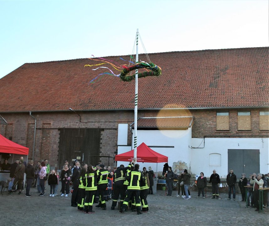 Maibaum in Kelbra gesetzt