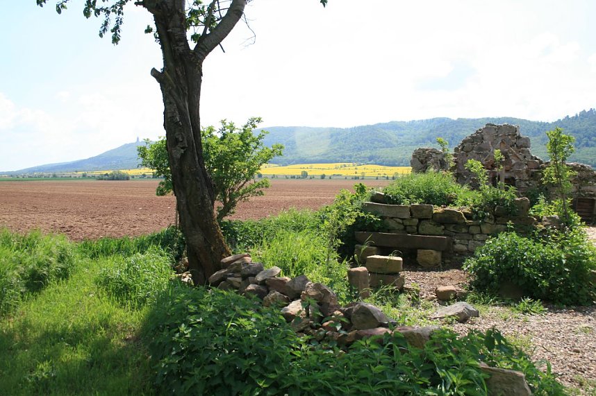 Die W&uuml;stung Lindenschu