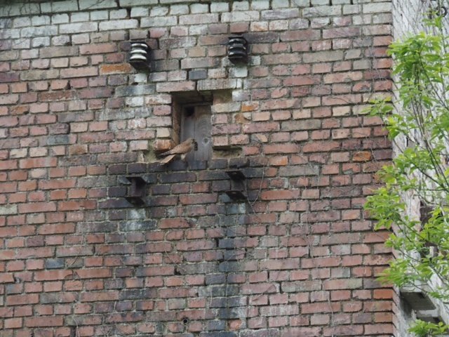 Mit der Kamera unterwegs zur Numburg