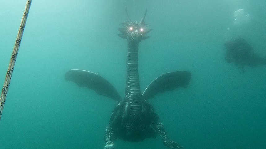 Drachen-Alarm am Sundh&auml;user Kiesteich