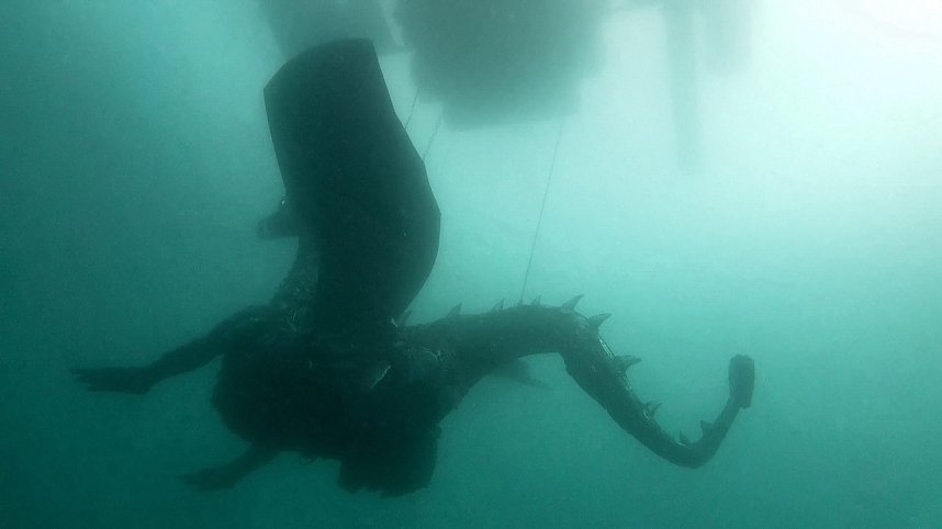 Drachen-Alarm am Sundh&auml;user Kiesteich