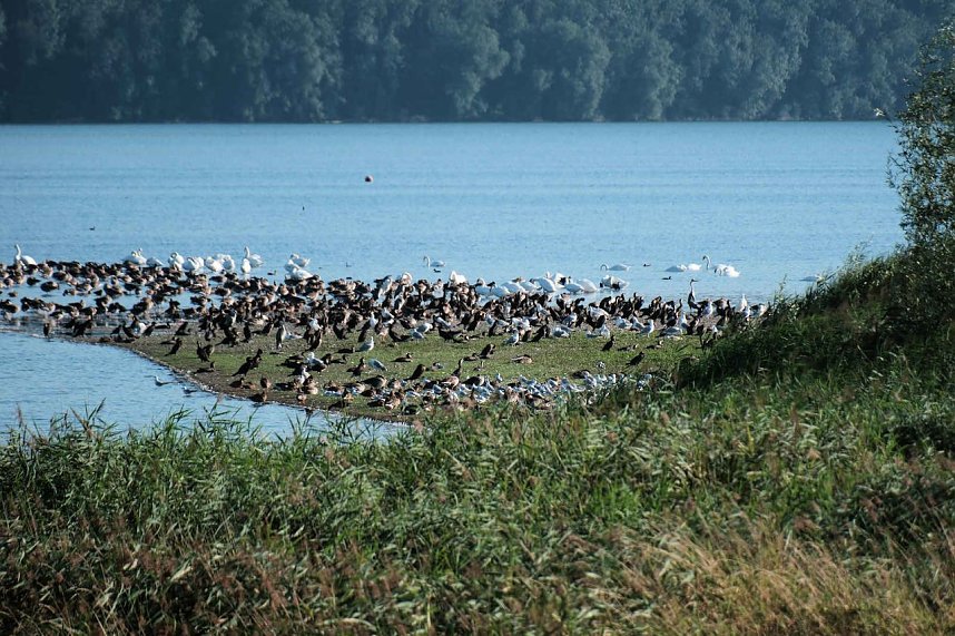 Peter Blei unterwegs im Vogelparadies