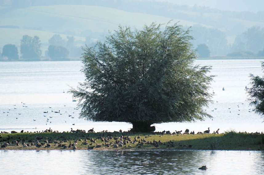 Peter Blei unterwegs im Vogelparadies