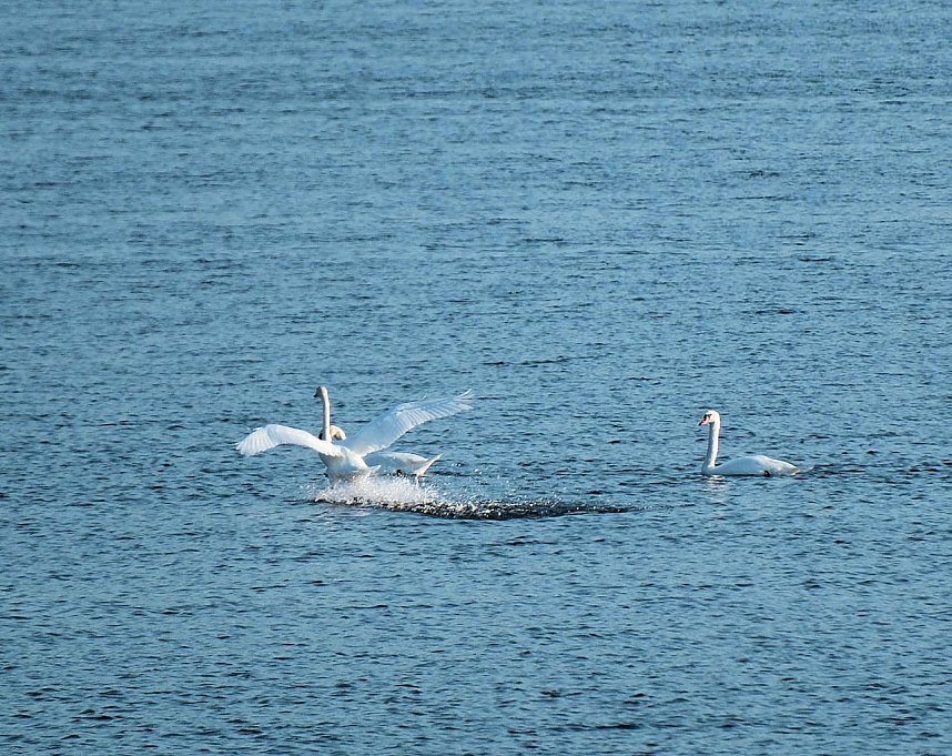 Peter Blei unterwegs im Vogelparadies