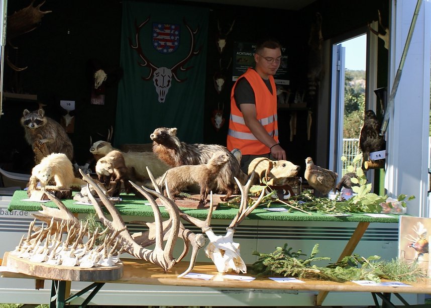 KNAUF-Kinderfest in Rottleberode