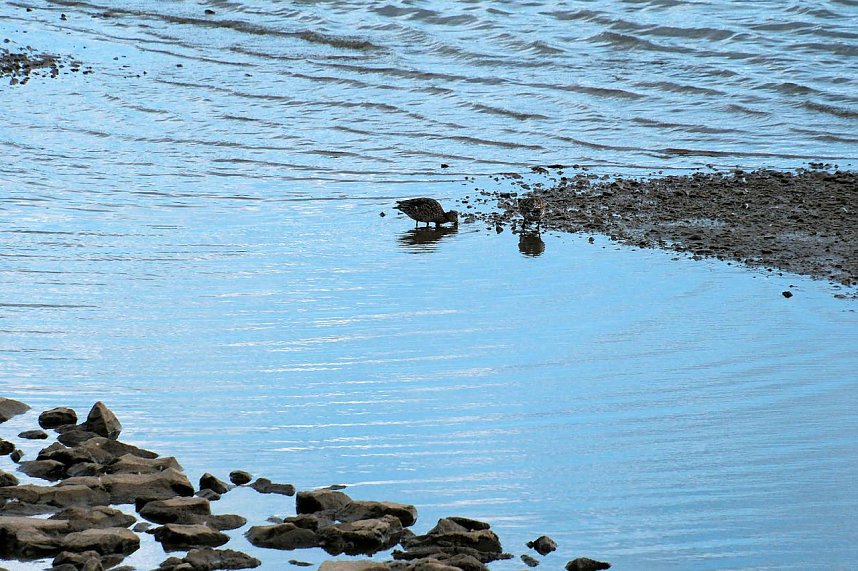 Peter Blei am neuen Aussichtsturm bei Kelbra