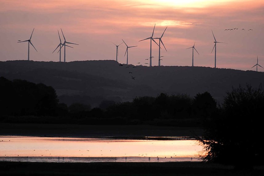 R&uuml;ckkehr der Kraniche