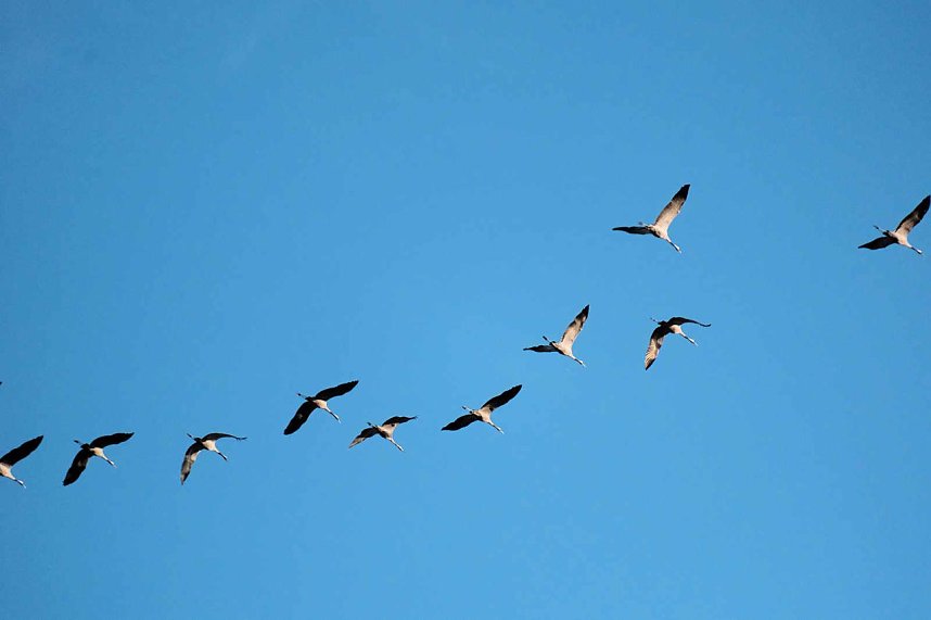 In Rothes&uuml;tte und am Stausee Kelbra