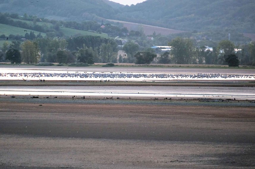In Rothes&uuml;tte und am Stausee Kelbra