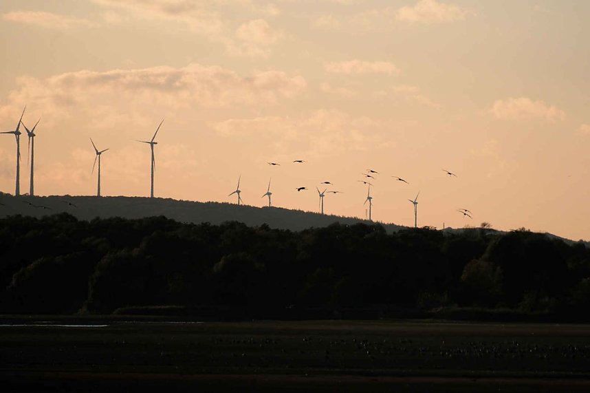 Neuer Aussichtsturm am Stausee Kelbra