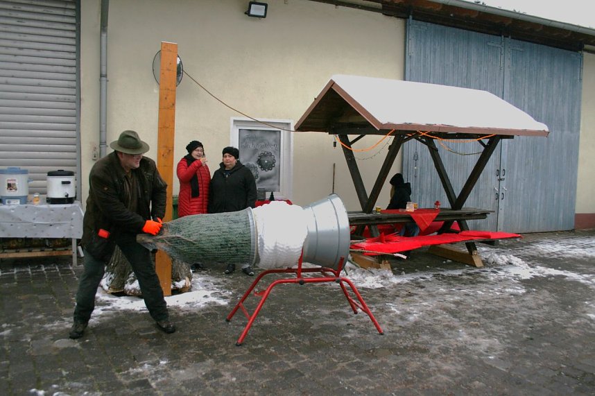 Weihnachtsb&auml;ume zum Advent in Kelbra