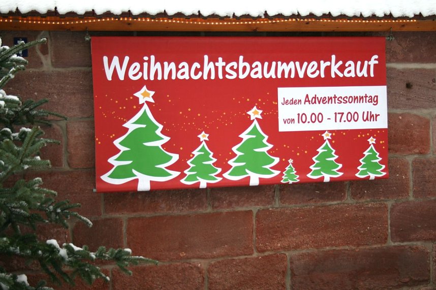Weihnachtsb&auml;ume zum Advent in Kelbra