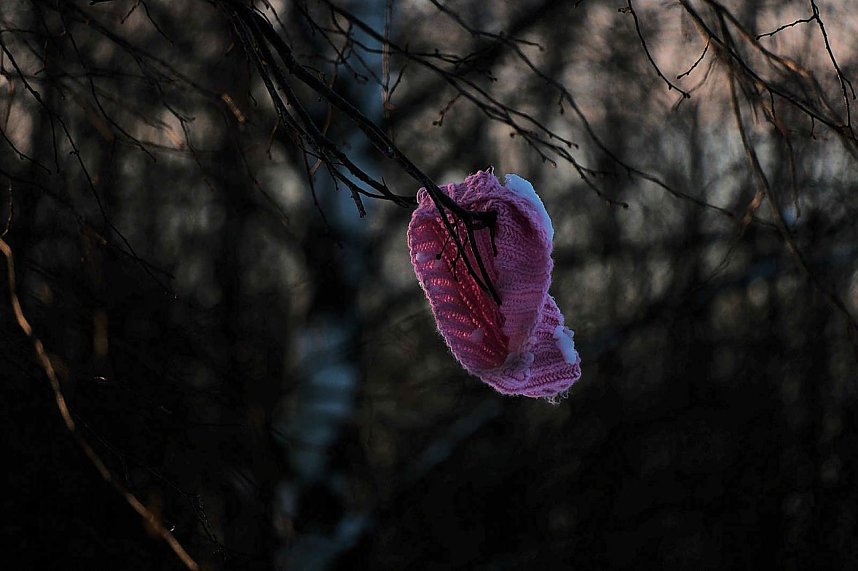 Wunderbare Winterlandschaft bei Benneckenstein