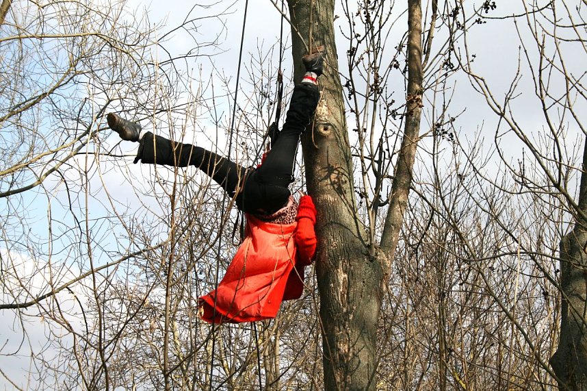 Baumproben bei Kelbra