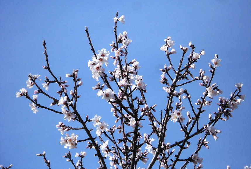 Fr&uuml;hling am Stausee 