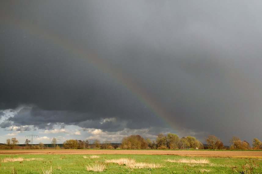 Fr&uuml;hling am Stausee 