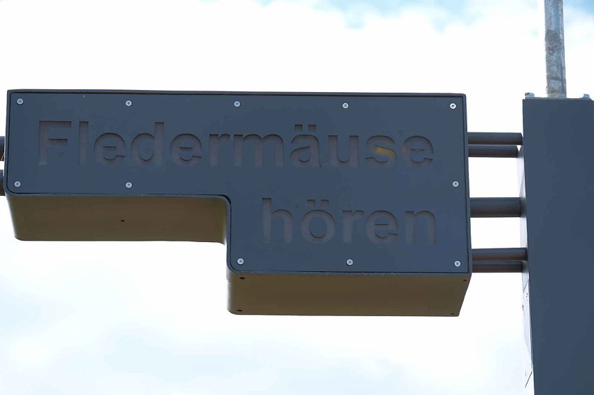 Flora und Fauna am Stausee Kelbra