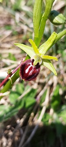 Sch&ouml;nheiten der Natur