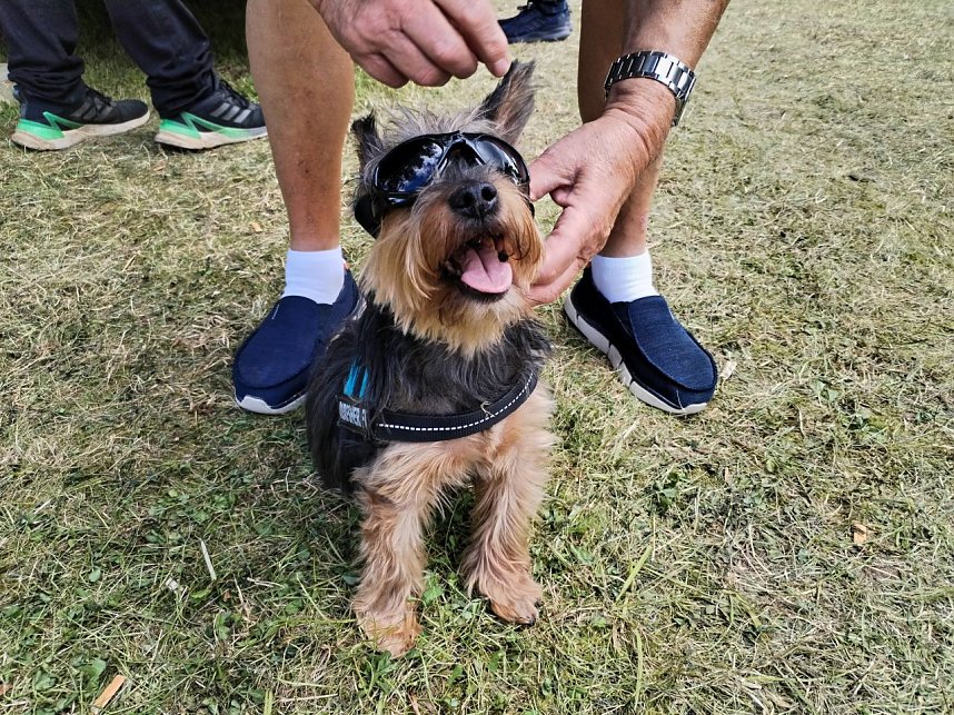 Zum Teichfest war richtig was los