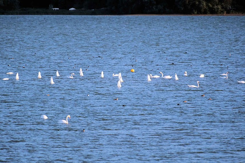 Erster Besuch der Saison