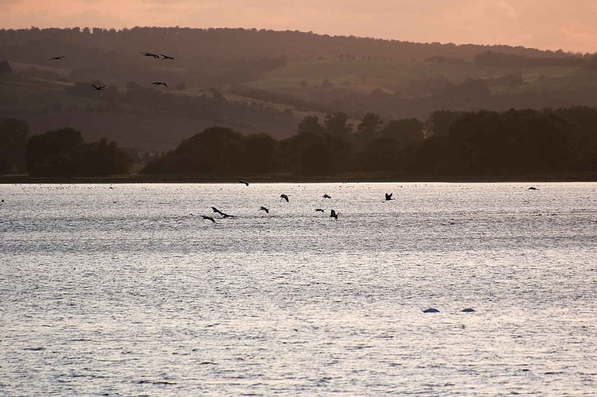 Erster Besuch der Saison