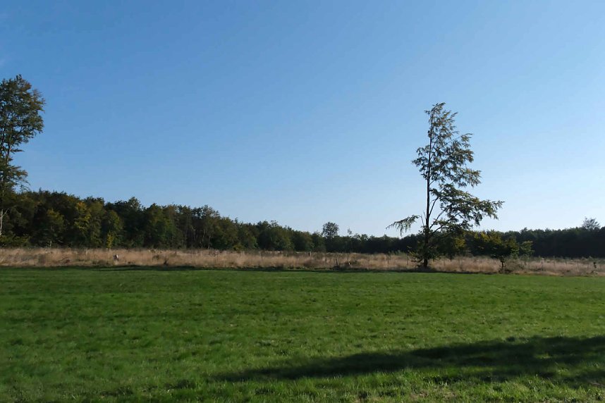 Peter Blei beim Waldspaziergang