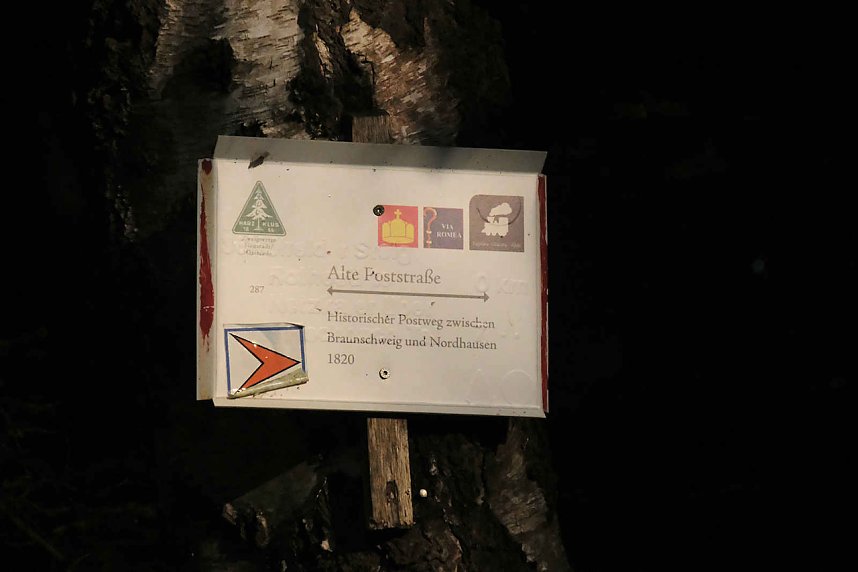 Peter Blei beim Waldspaziergang