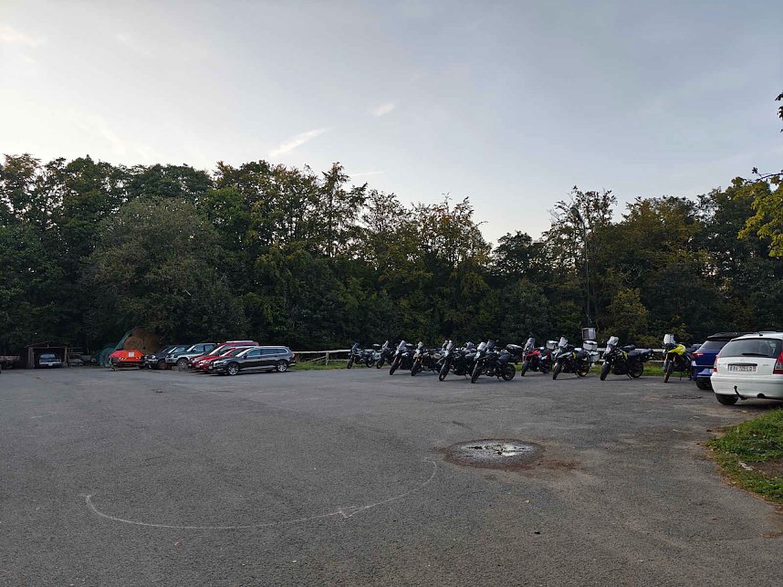 Peter Blei beim Waldspaziergang