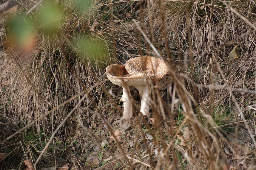 Sonntagswanderung an der Hassel-Vorsperre