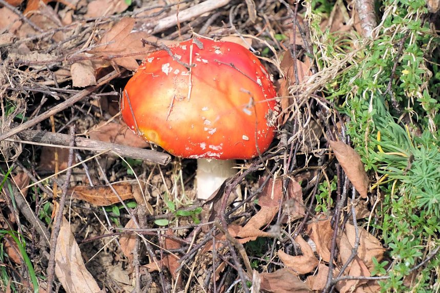 Sonntagswanderung an der Hassel-Vorsperre