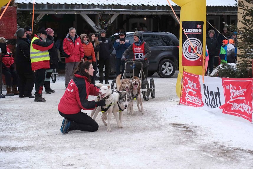 Hundeschlittenrennen im Harz