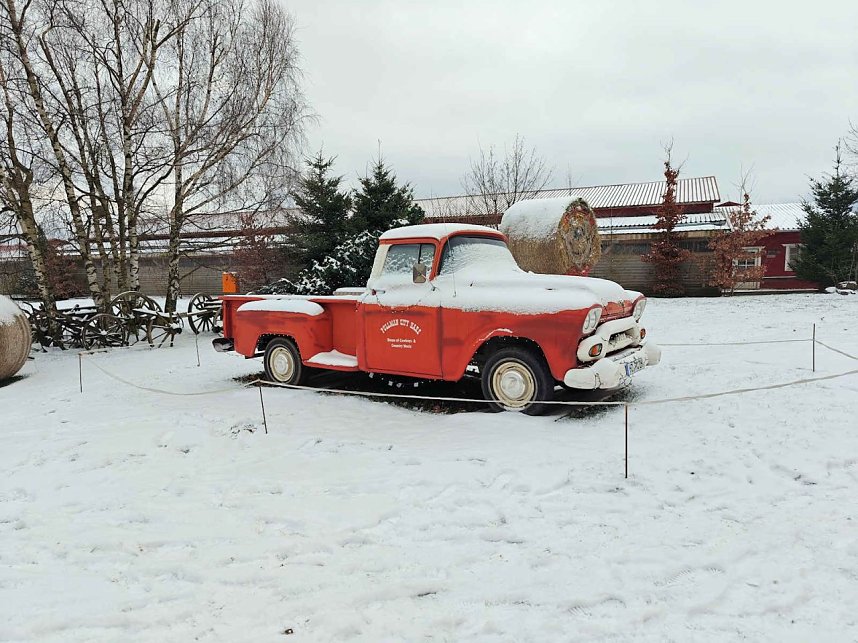 Hundeschlittenrennen im Harz