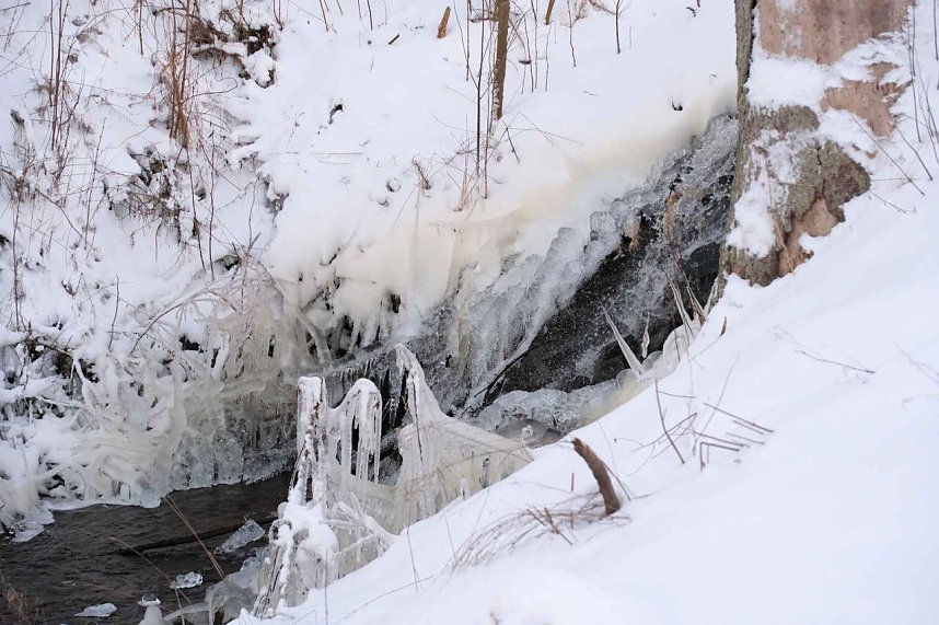 Winterlicher Harzausflug mit Kamera
