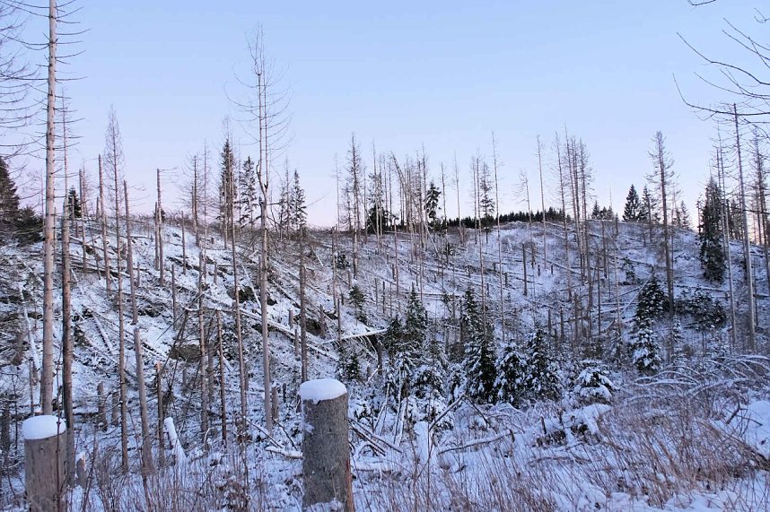 Winterlicher Harzausflug mit Kamera