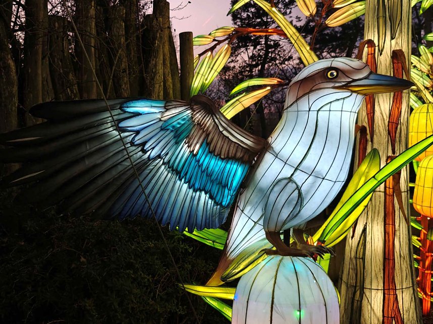 Magische Lichterwelten in Halle