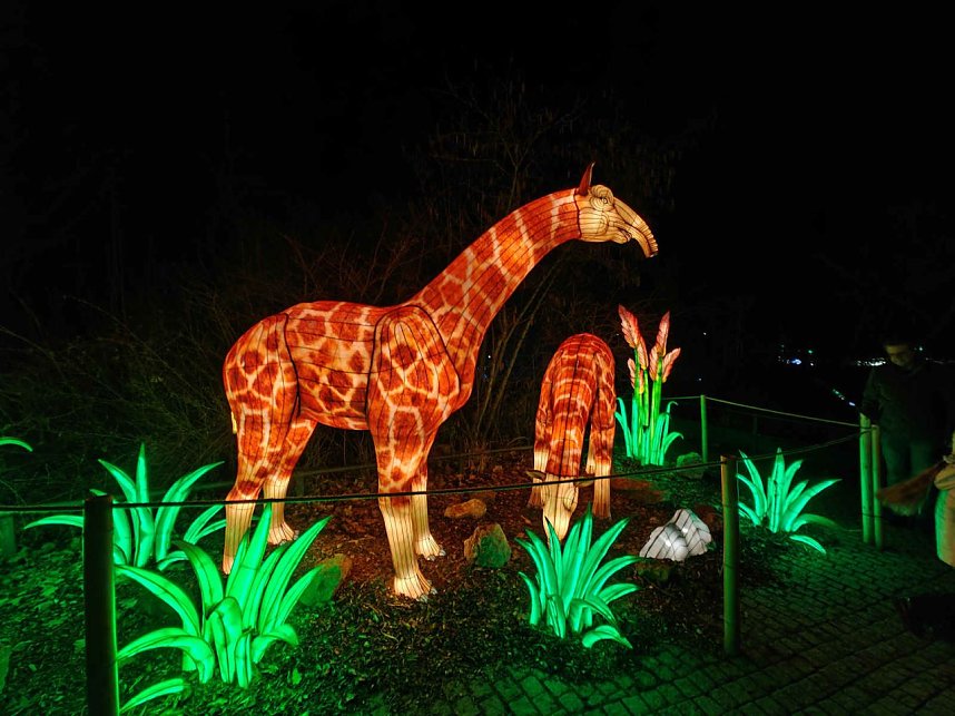 Magische Lichterwelten in Halle