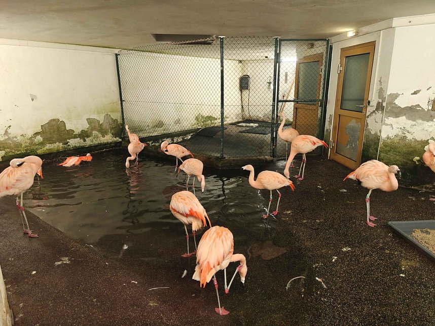 Magische Lichterwelten in Halle