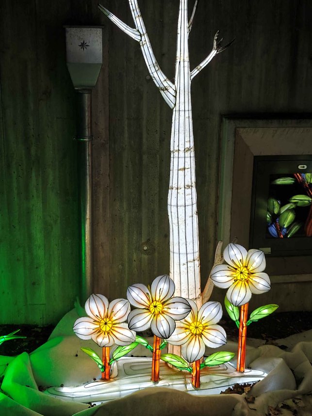 Magische Lichterwelten in Halle