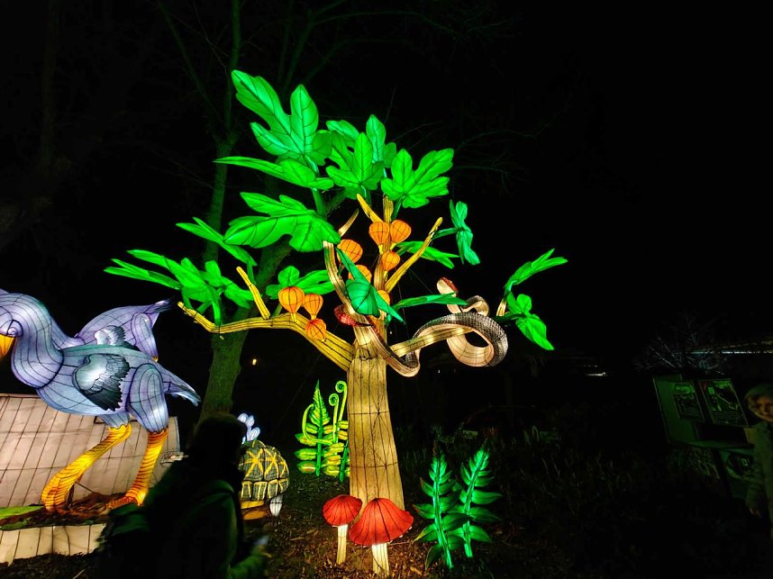 Magische Lichterwelten in Halle