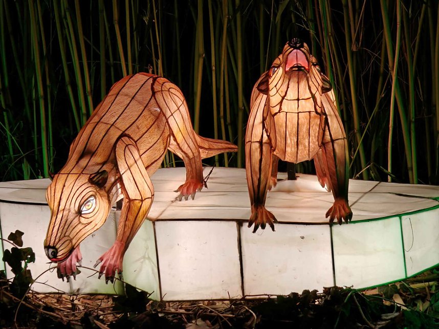 Magische Lichterwelten in Halle