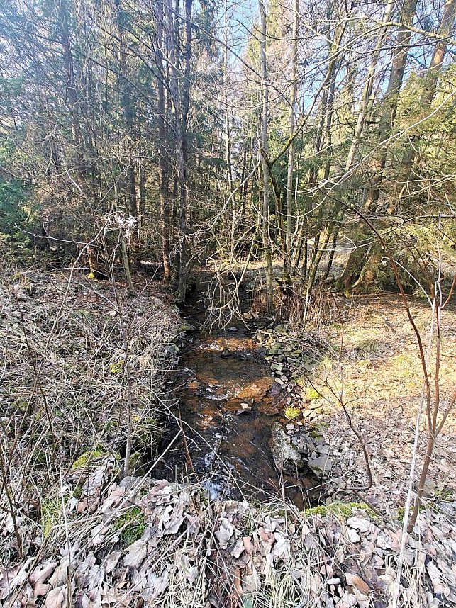 Peter Blei im Harz unterwegs