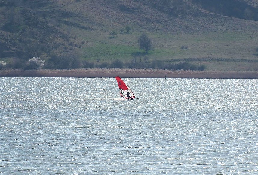 Storch und Co. am Stausee Kelbra