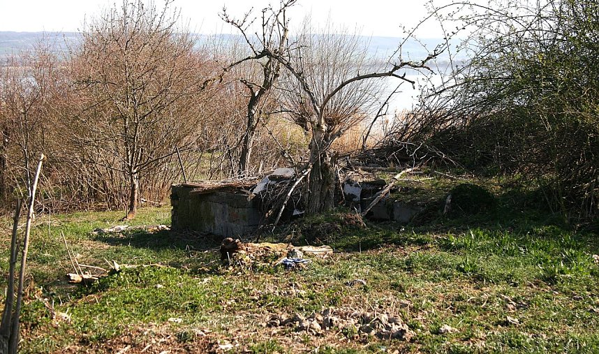 Fledermausschutz an der Numburg