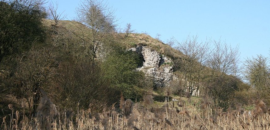 Fledermausschutz an der Numburg