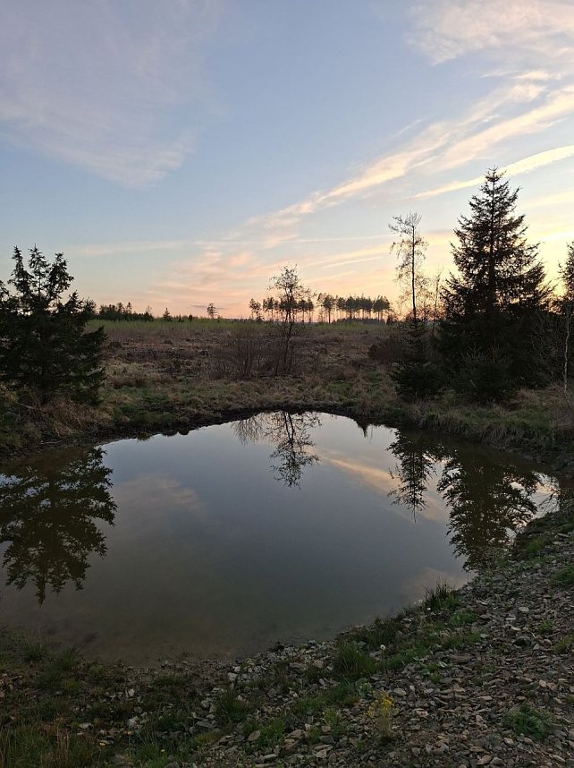 Impressionen von einer doppelten Harzquerung