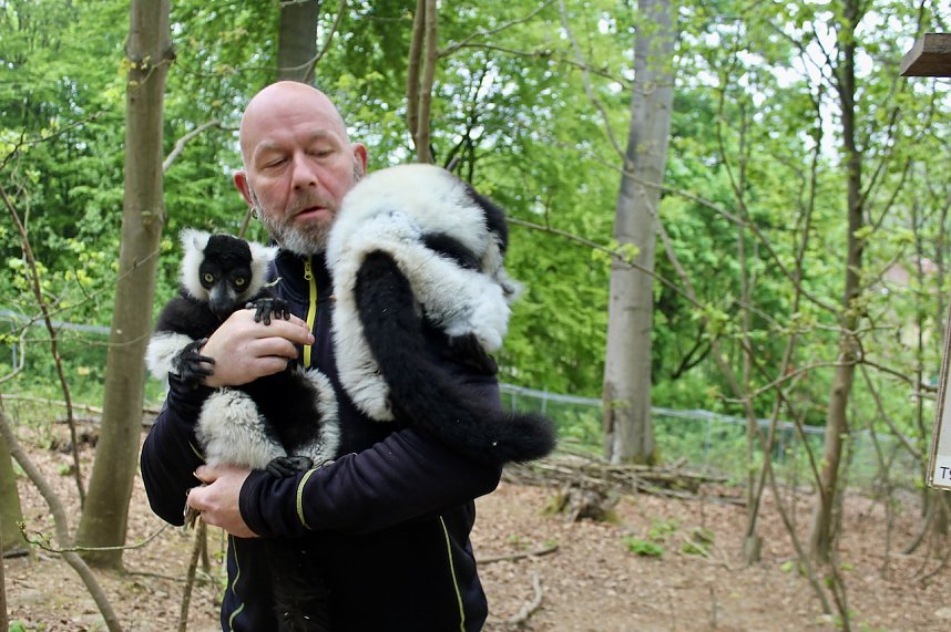 Besuch im Affenpark in Strau&szlig;berg (Th&uuml;ringen)