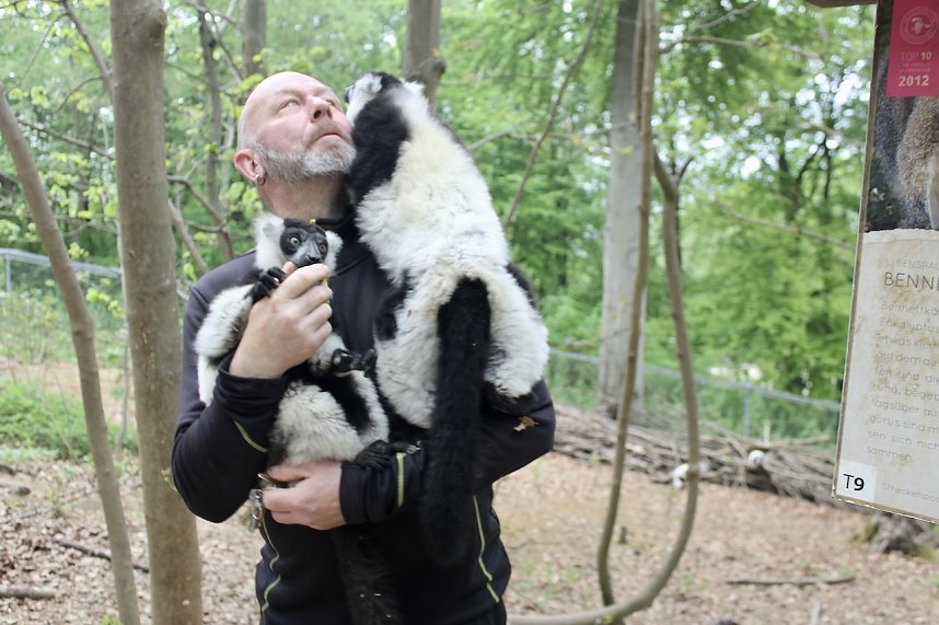 Besuch im Affenpark in Strau&szlig;berg (Th&uuml;ringen)