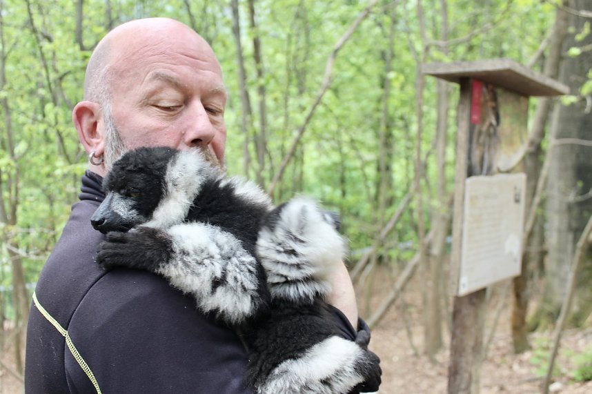 Besuch im Affenpark in Strau&szlig;berg (Th&uuml;ringen)
