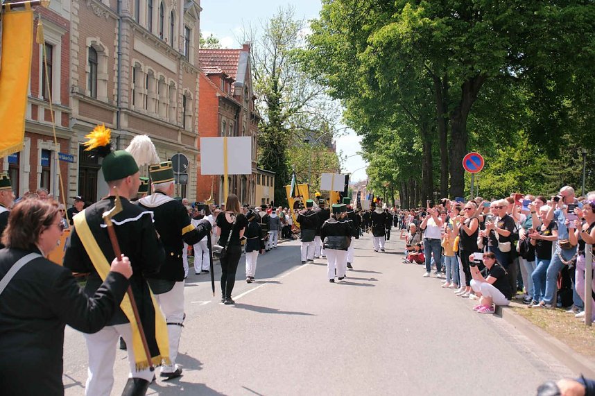 Internationale Bergparade in Sangerhausen 